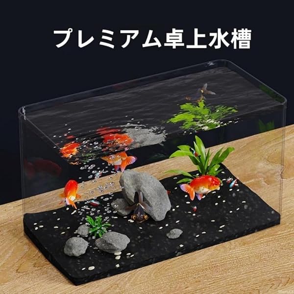 VesVas デスクトップ水槽 透明アクリル水槽 スタイリッシュ シンプル コンパクト 家庭用 アクリル 耐久性 視認性 4種類サイズ デスク用 ベランダ オフィス インテリア 初心者向け メンテナンス容易 環境配慮設計(45*22*25cm) - 3