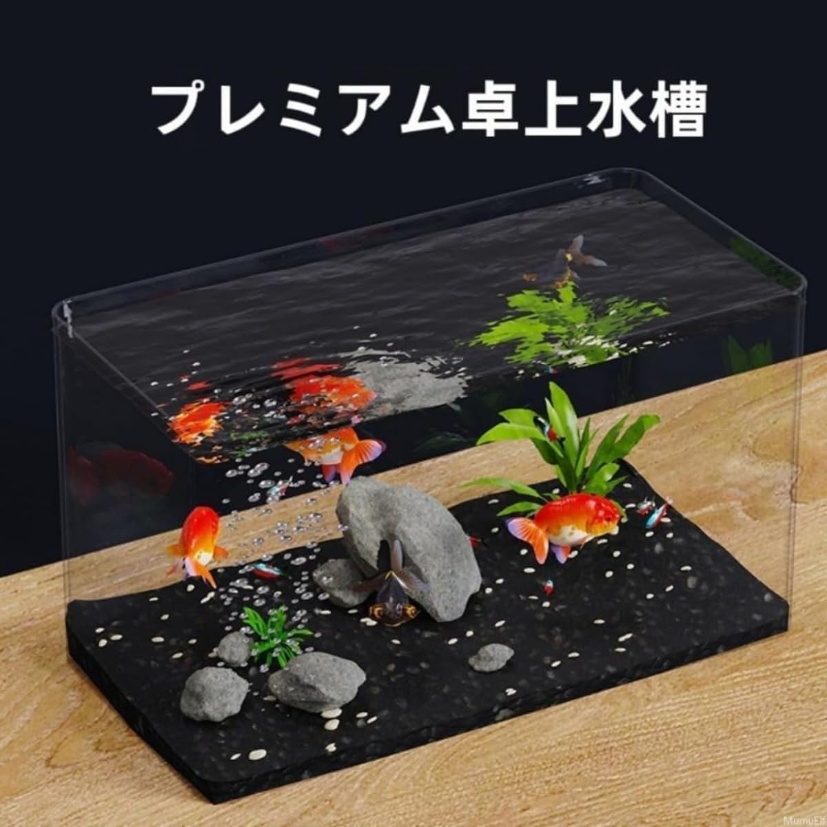 Amazon | 金魚鉢 透明なアクリル水槽 魚飼育用生態槽 Tasydi