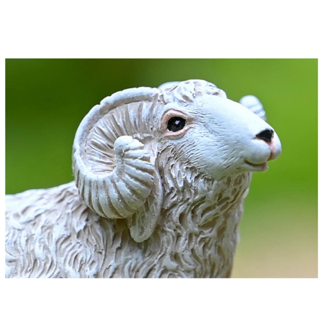 Amazon.co.jp: リアル 羊おきもの ミニチュア 羊 F かわいい