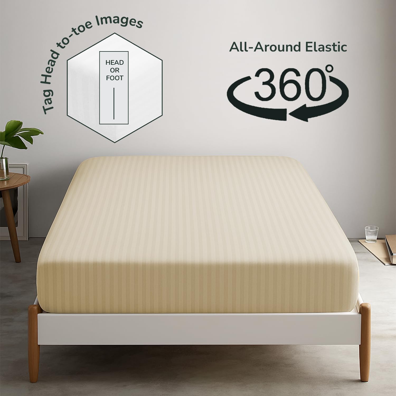 Feather & Stitch 1 Piece Fitted Sheet Queen Size, 100% Cotton Damask Sateen Weave, Striped Breathable, Stretchable Elastic Sheet for Mattress 18 inch Deep Pocket, 500TC Premium Ultra Soft - Beige