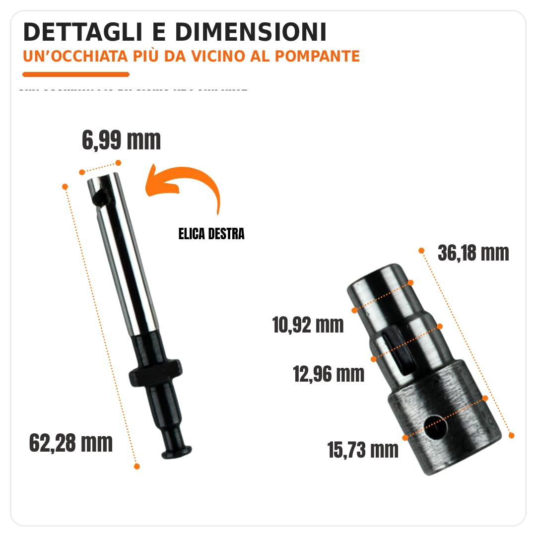 Kit de bomba + pulverizador + válvula para motoazadas y motocultores Lombardini Diesel LDA 450 LDA 510 3LD 510 4LD 640 LDA 640 LDA 96 LDA 97 LDA 100 4LD 820 LDA 820 LDA 820
