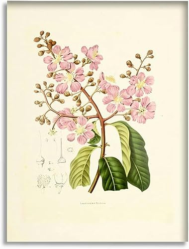 Arte de pared de baño, imágenes de baño para pared, diseño de orgullo indio, ilustraciones de plantas antiguas, lienzo enmarcado para dormitorio,