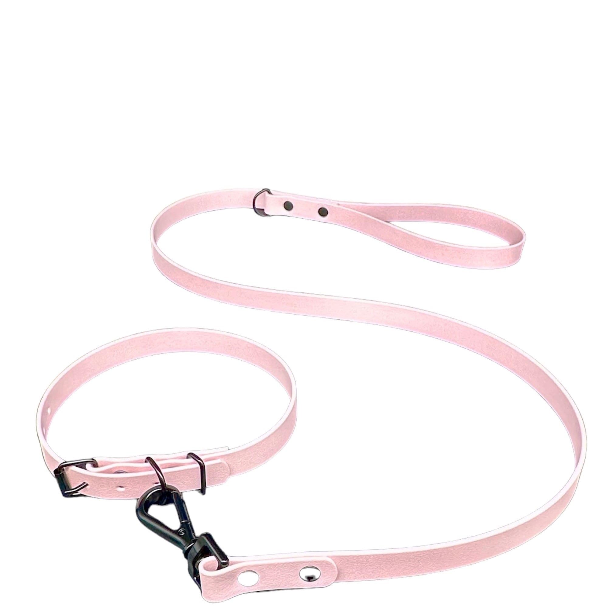 Waterproof Biothane Dog Lead & Collar Set | Metal Buckle | Black Rivets | Ultra Durable… — image 1