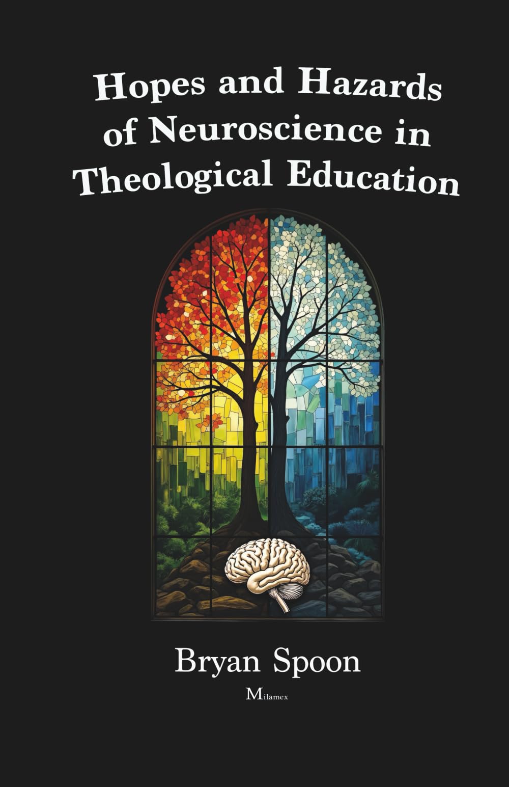 Hopes and Hazards of Neuroscience in Theological Education