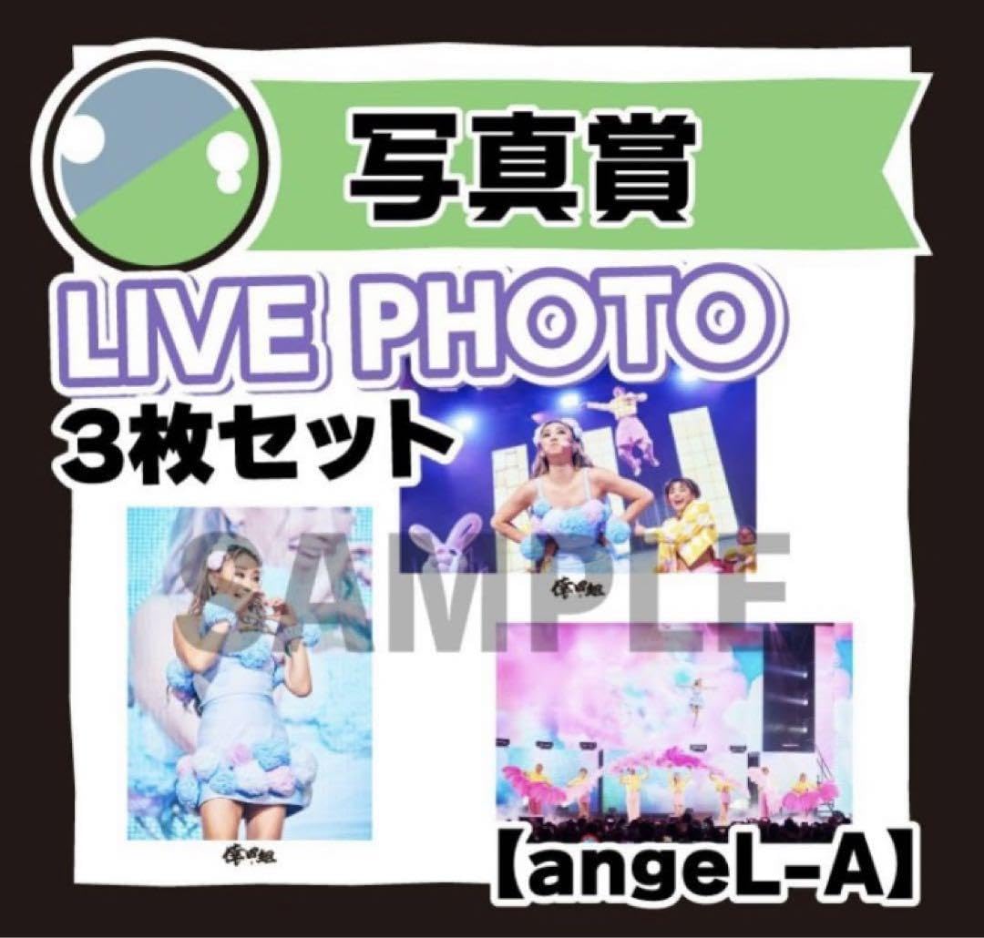 Amazon.co.jp: 倖田來未 倖田組限定 GURUポン 写真 13種類 コンプ