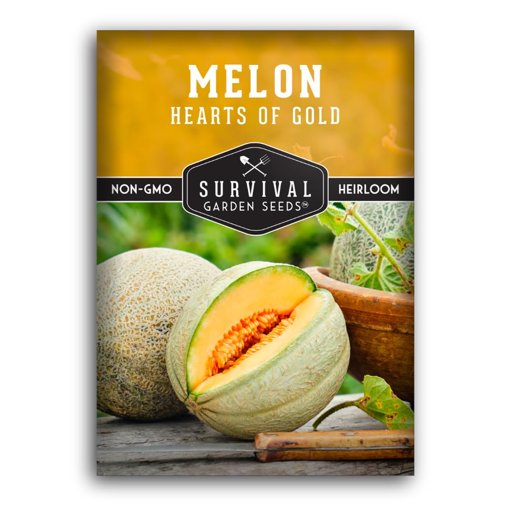 3 Packs Hearts of Gold Melon Seed for Planting - Packet with Instructions to Grow Sugar Sweet Cantaloupe Fruit in Your Home Vegetable Garden - Non-GMO Heirloom Variety - Survival Garden Seeds