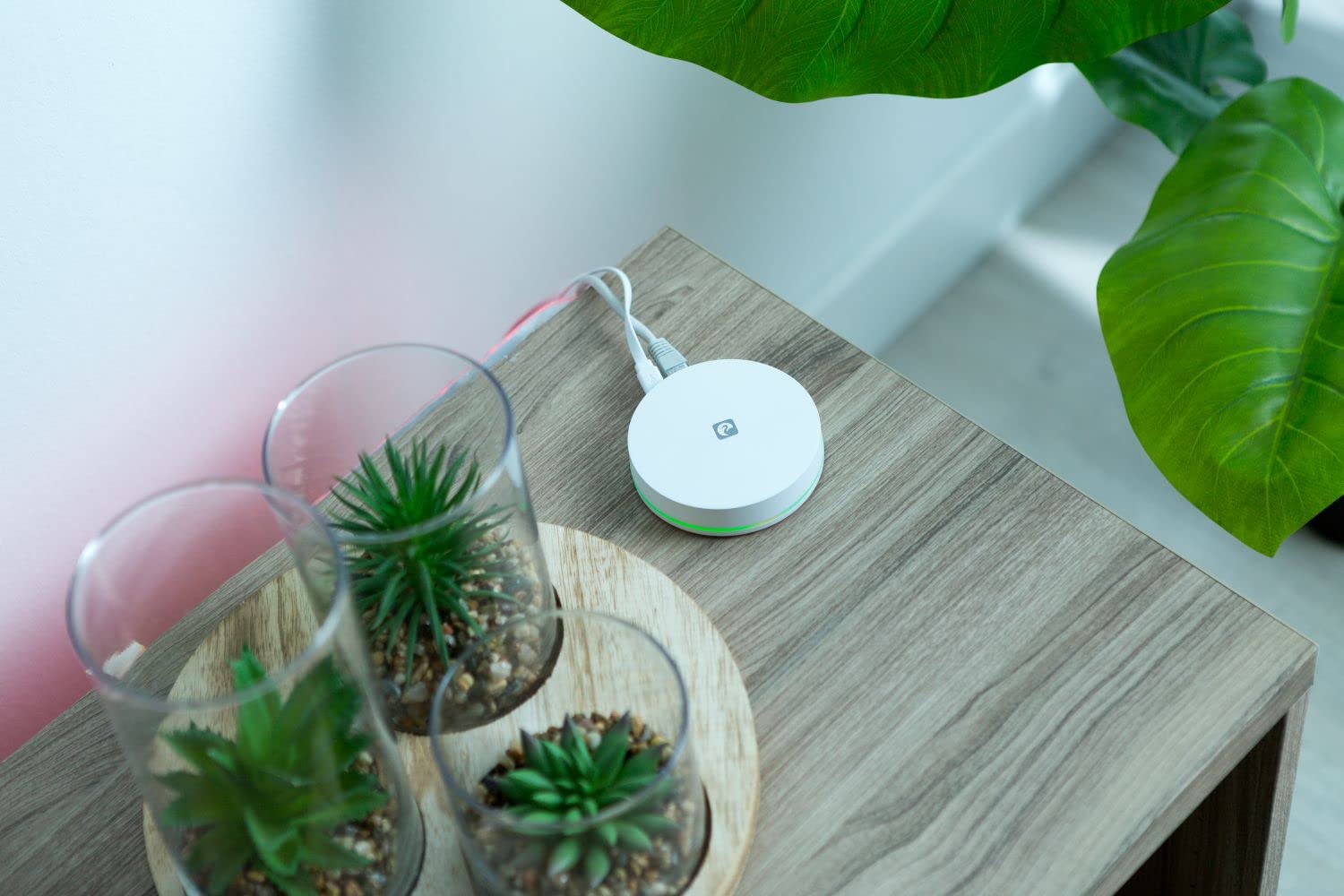 Garza – ZigBee 3.0-Bridge für zu Hause. Verbinden Sie bis zu 100 Zigbee-Geräte mit einem stabilen und sicheren Netzwerk. Kompatibel mit Zigbee-Geräten Anderer Marken, Alexa und Google Assistant.