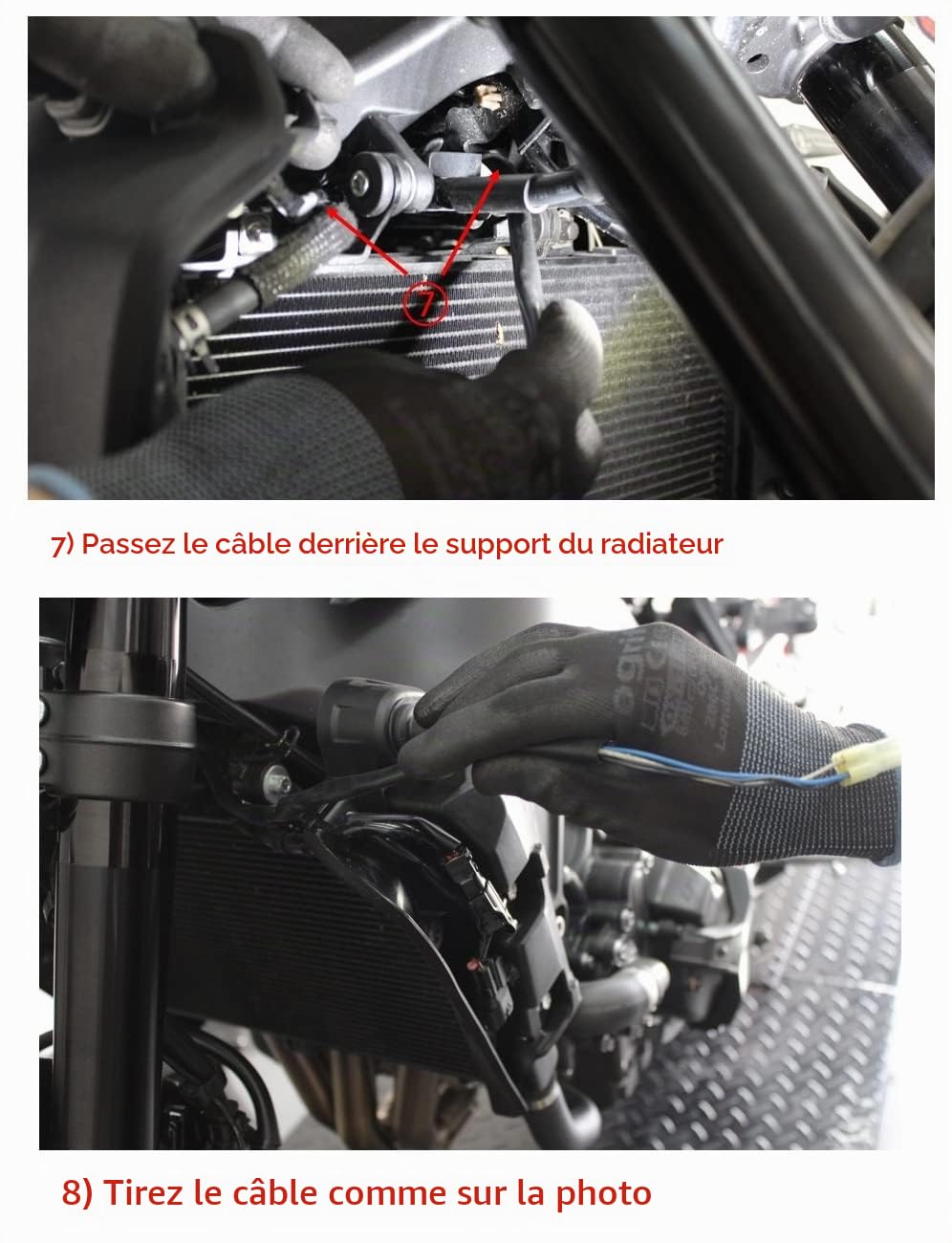 DOMINATOR Ligne complète d'échappement Collecteur Silencieux GP compatible avec MT 09 2021-2022
