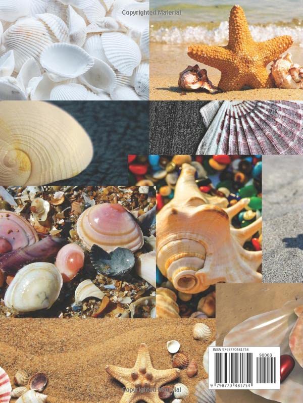 Sea Shell Collecting Logbook: For Kids and Adult Beachcombing Collectors to record their finds. image 3