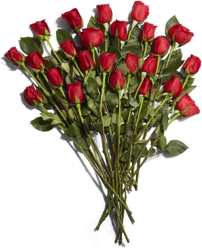 Floral Double Dozen Red Roses
