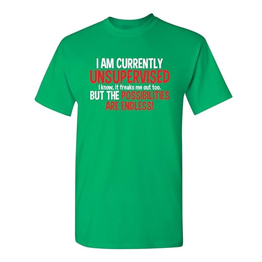 I'm Currently Unsupervised Novelty Graphic Sarcastic Funny T Shirt