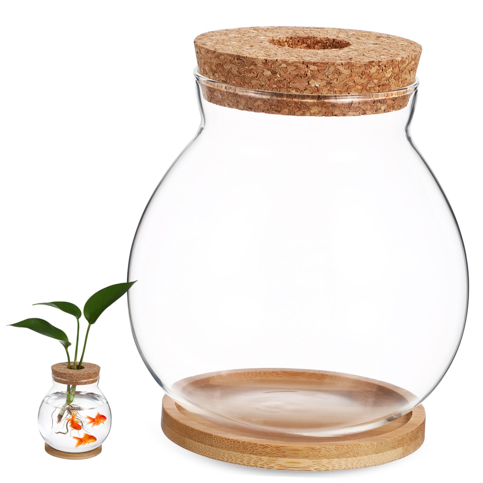 Terrarium En Verre Avec Bouchon Liège Et LED – Mini Jardin Hydroponique, Décoration Bureau, Aquarium Betta - 7