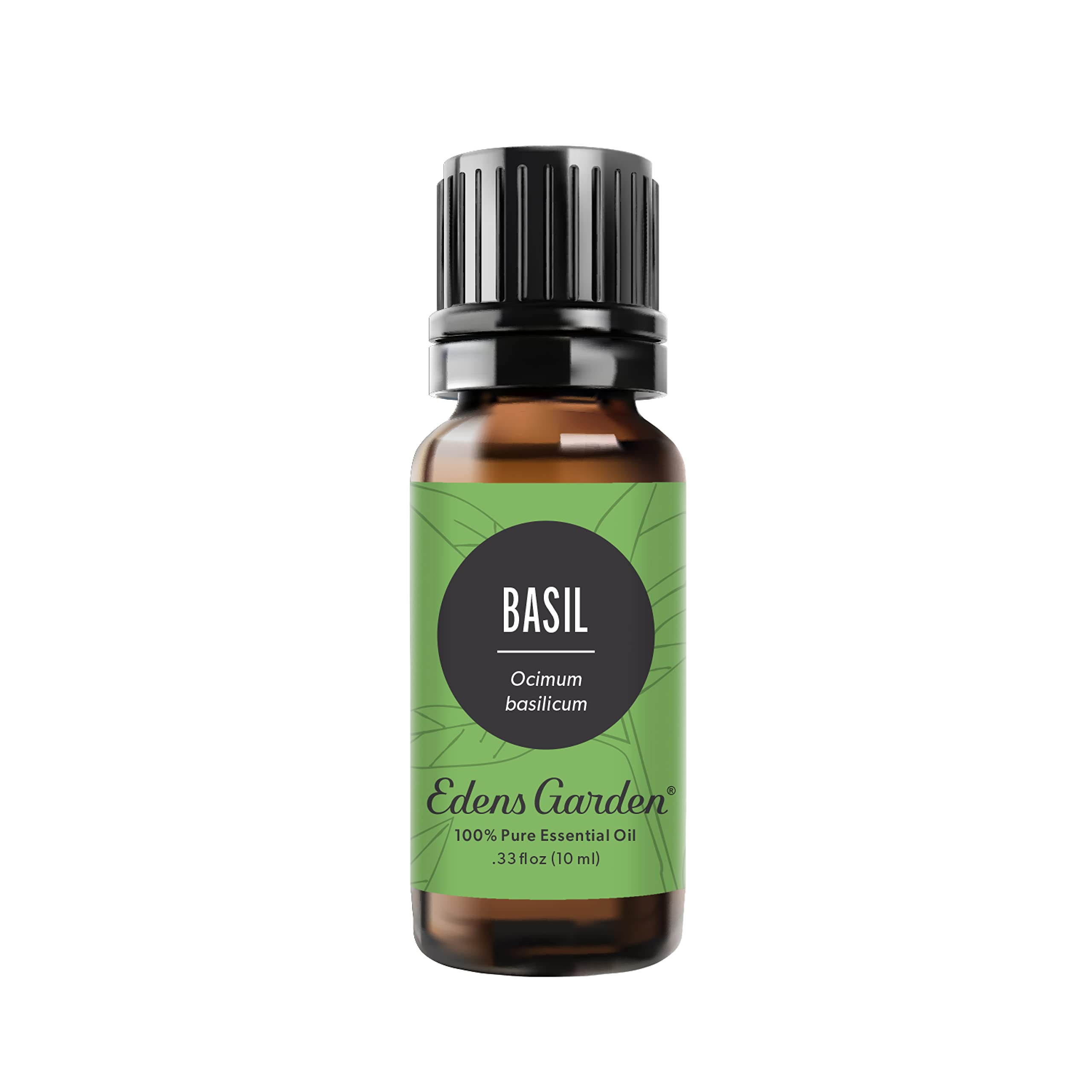 Edens Garden Basil 10 ml 100% Pure Undiluted Therapeutic Grade Essential Oil GC/MS Tested