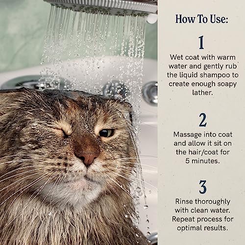 Image of J.R.LIGGETT'S Liquid Cat Shampoo, Natural Cleansing Liquid for Cats with Sensitive Skin, Hypoallergenic Feline Formula Gently Deep Cleans with No Essential Oils, Detergent-Free, 8.45 oz