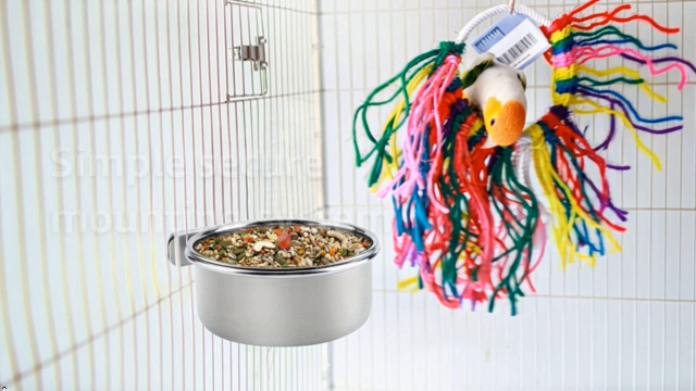 PINVNBY Parrot Feeding Cups Birds Food Dish Stainless Steel Parrot Feeders Water Cage Bowls with Clamp Holder for Cockatiel Conure Parakeet Macaw Small Animal (2PCS, Size: M) - image 8