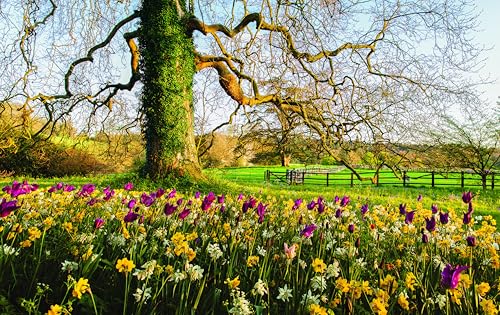 Martha Stewart's Gardening Handbook: The Essential Guide to Designing, Planting, and Growing--Martha Stewart's Handbook For Growing Beautiful Plants and Vegetables - Image 4