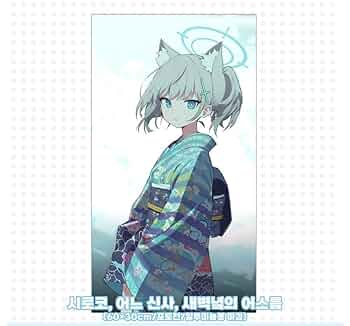 〖公式〗韓国限定 ブルーアーカイブ スローガン シロコ タペストリー 61So8jNXdgL._UF350,350_QL50_.jpg