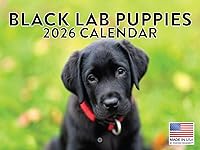 Vista 79 de Calendario de cachorro Golden Retriever 2027 mensual de pared de 12 meses