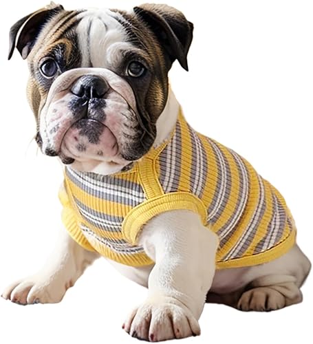 JcDuDoi Camiseta para perro pequeño, ropa ligera y elástica a rayas para perro, transpirable, suave, sin mangas, para cachorros, chihuahua, Yorkie