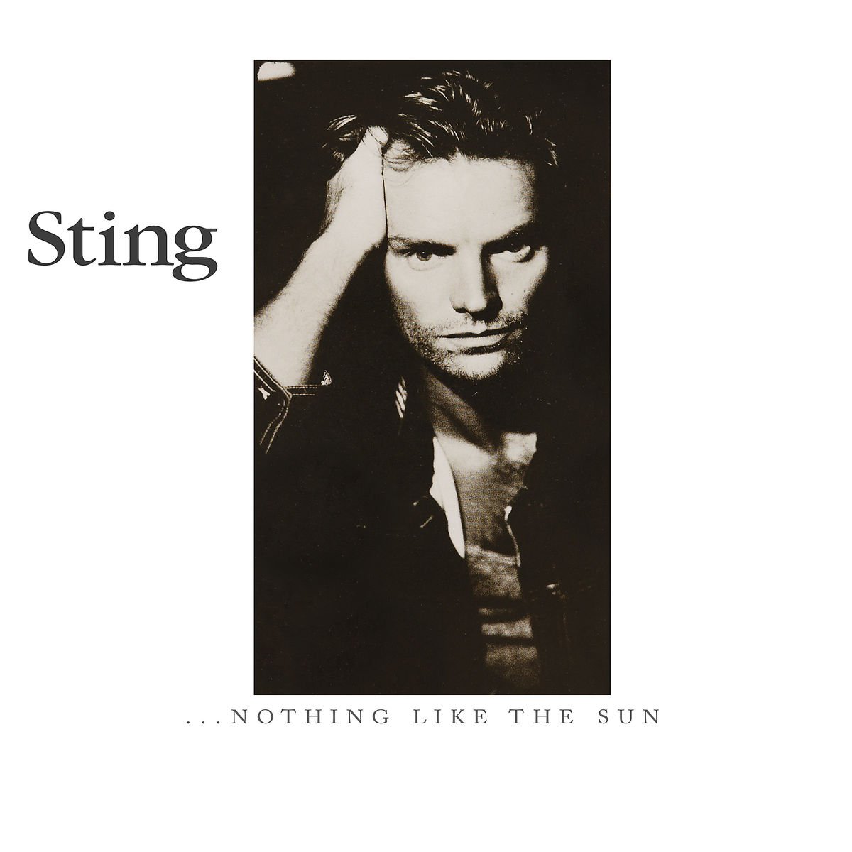...Nothing Like The Sun [VINYL]