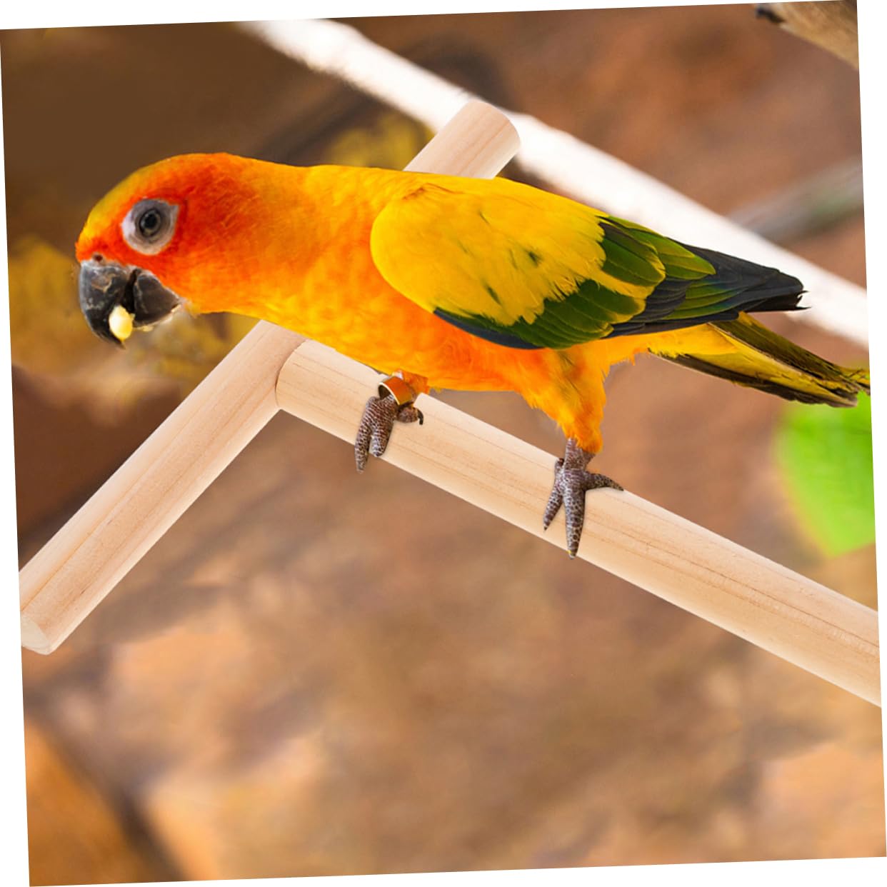 VANZACK 8pièces pour Oiseaux Perches pour Volières Et Jouets à Gratter pour Perroquets Perruches Et Oiseaux