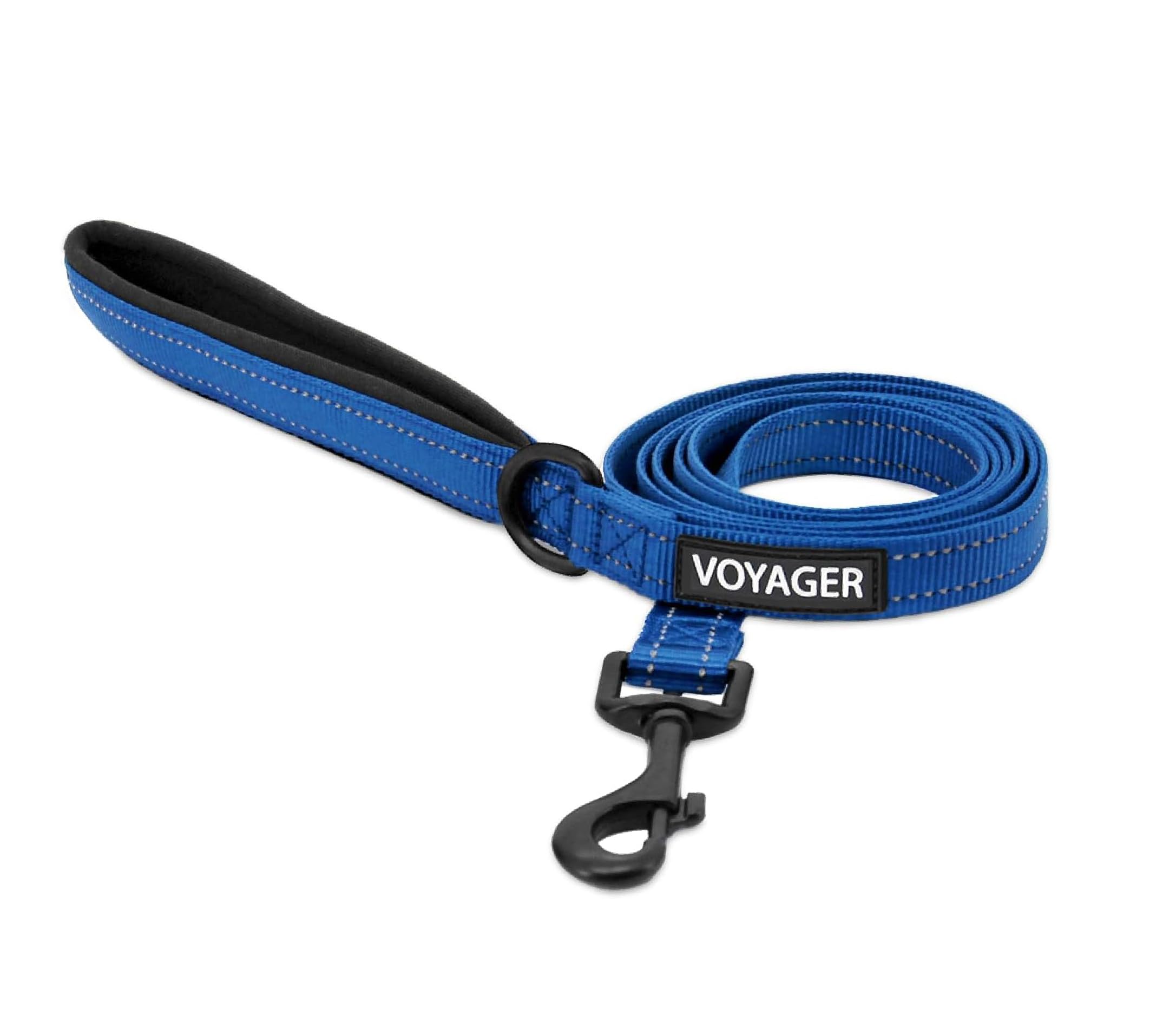 Best Pet Supplies Voyager Nylon Dog Leash - Royal Blue, Small