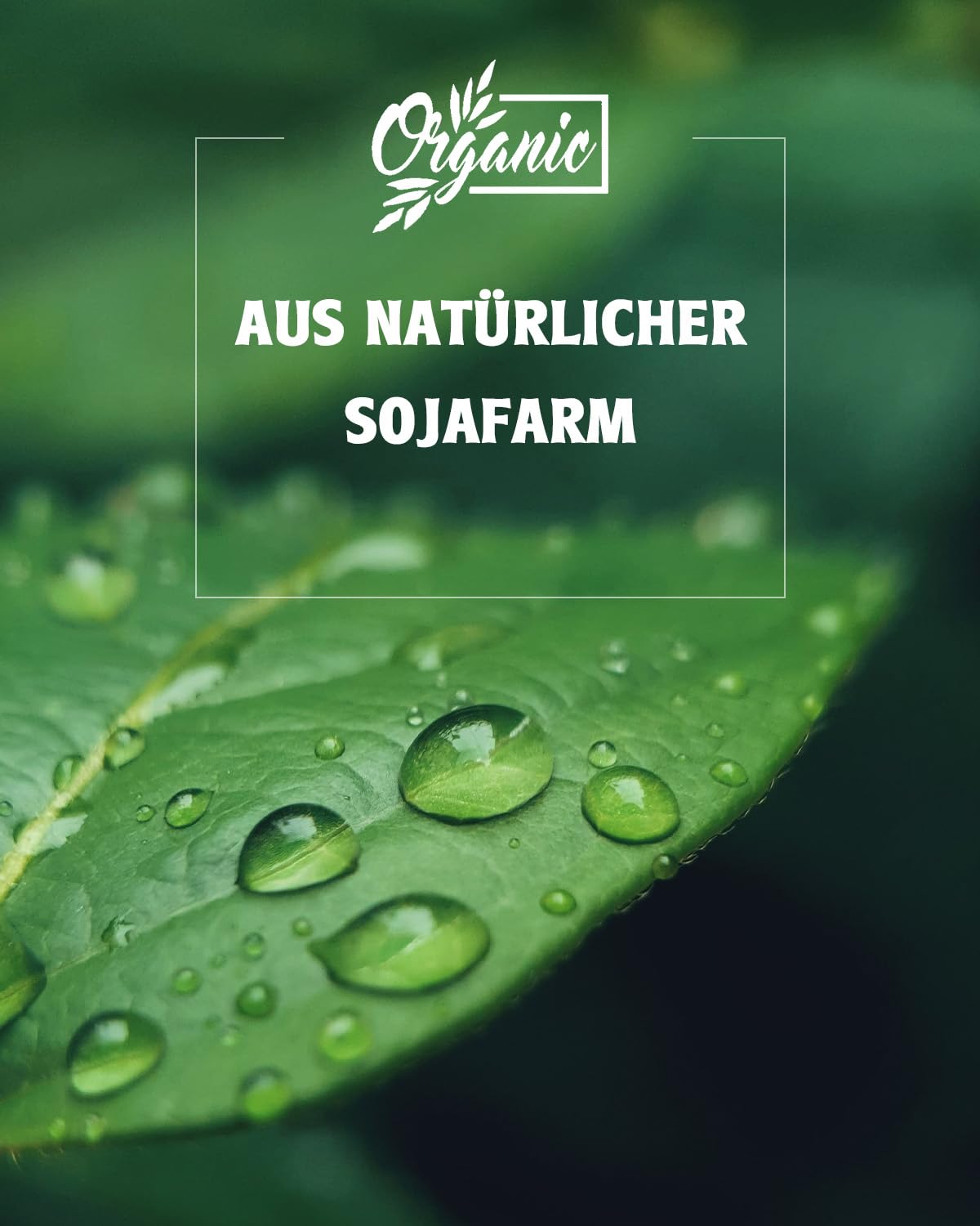 BOYUJK Sojawachs für Kerzen 5KG, Premium Natürlich Kerzenwachs, 100% Sojawachs für die Kerzenherstellung aus biologischem Anbau, ohne Zusatzstoffe, Harmlos und Rein