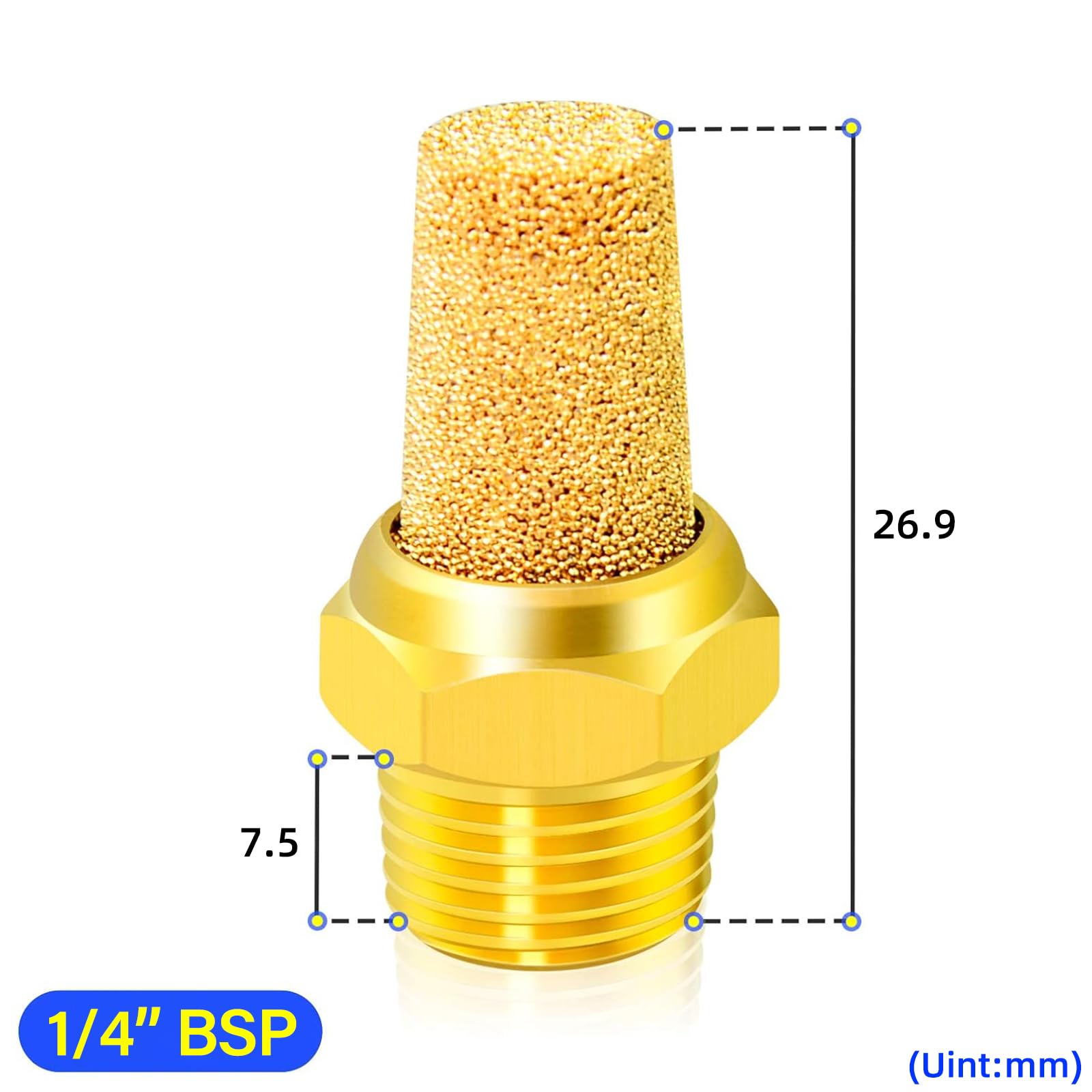 TAILONZ PNEUMATIC Silenziatore di in bronzo sinterizzato 1/4 pollice BSP Corpo in ottone sporgente confezione da 10