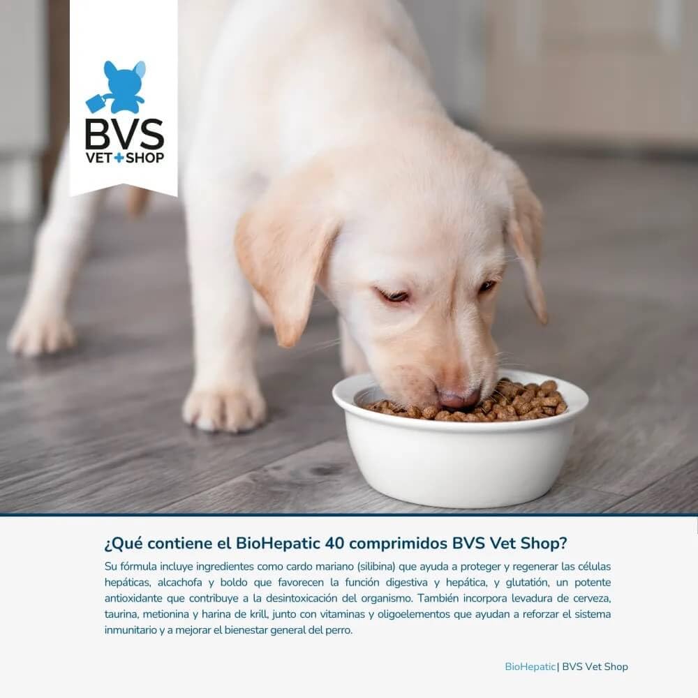 BVS Vet Shop | BioHepatic 40 Comprimidos para Perros | para la reducción de trastornos de la absorción intestinal, hepáticos, renales y cardiacos | Razas Pequeñas
