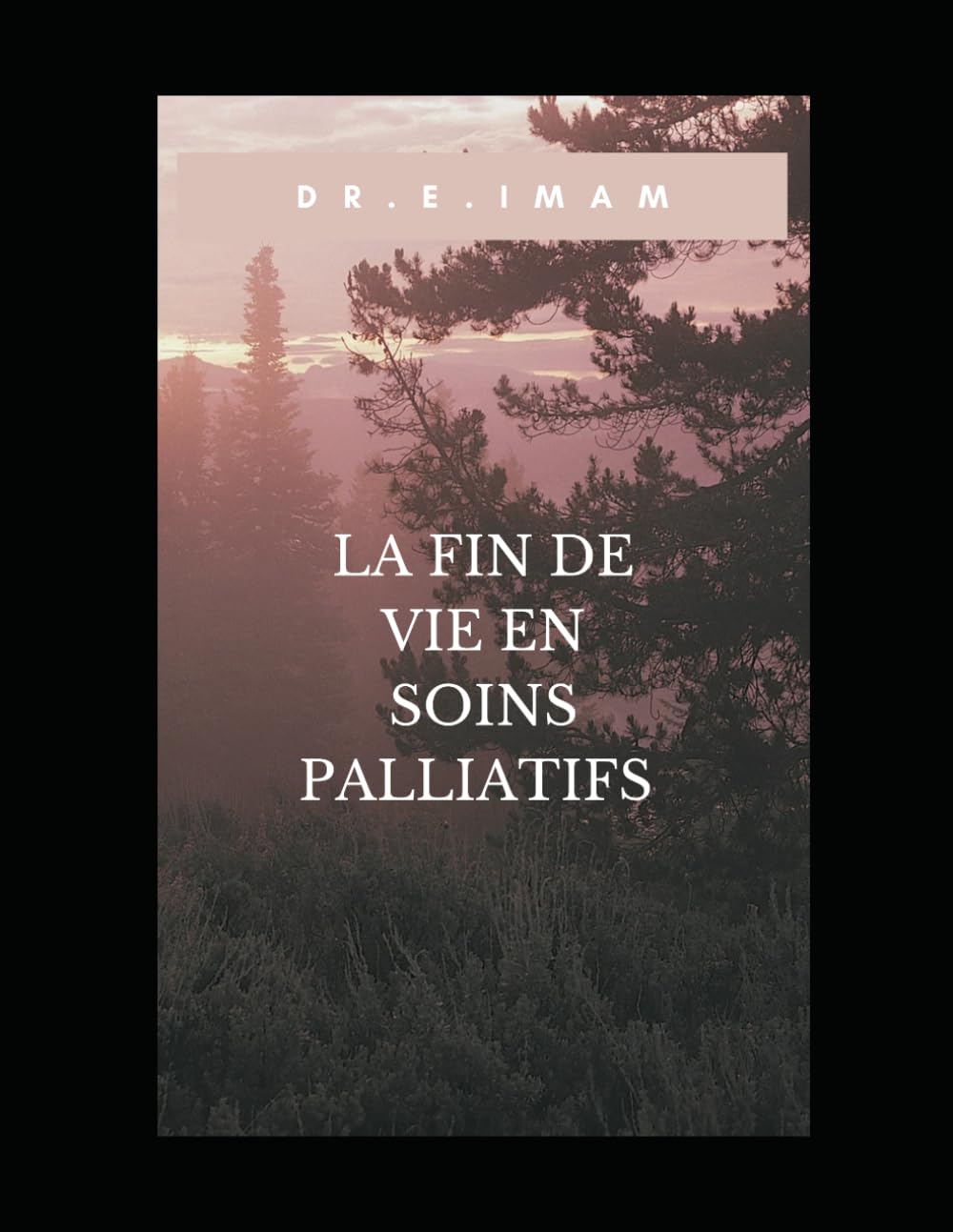L'approche de la fin de vie en soins palliatifs: Elias imam