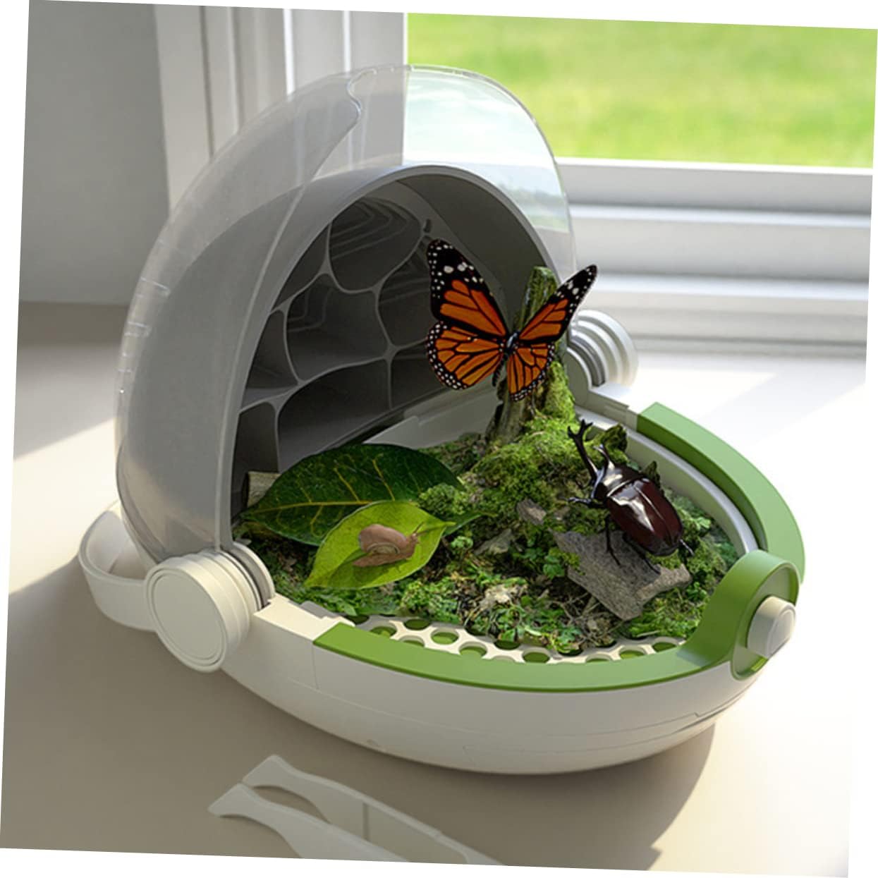 Insect Viewing Kit Silkworm Rearing Capsule Portable Container Observe Case for Boy Girl Enhance Cognitive Skills