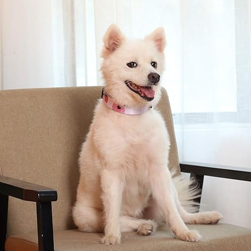 Miniatura 8 de Collar de perro para mascotas, divertidos collares ajustables de arcoíris con bonita correa de teñido anudado para perros pequeños, medianos y