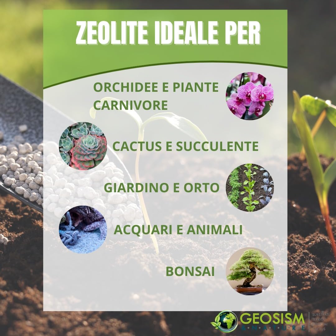 Zeolita a base de Chabasita y Phillipsita 2/5 mm (3 sacos de 20 kg), mejorador del suelo para plantas