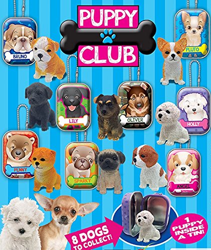 puppy clubs