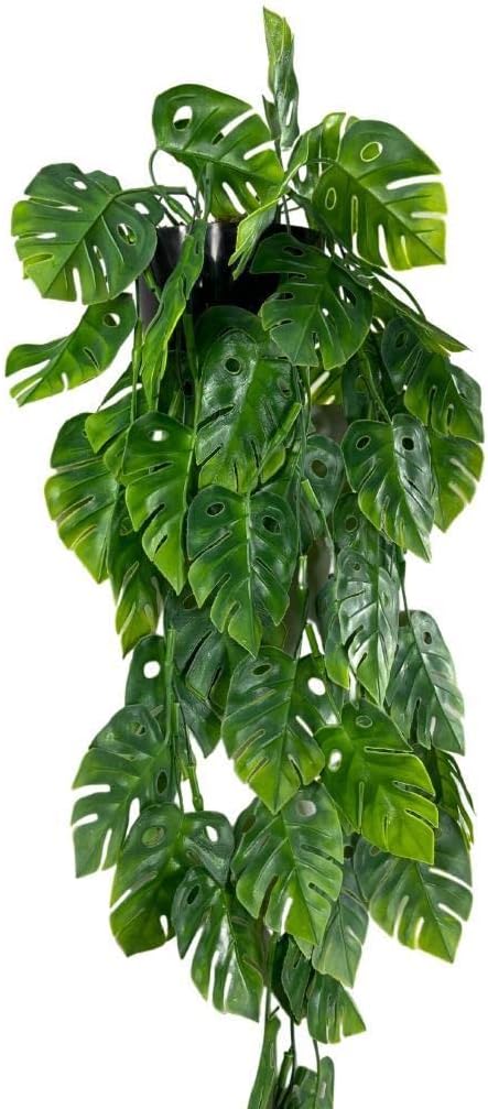 Yapay Çiçek Saksıda Sarkan Monstera Deve Tabanı Yapay Sarmaşık Pastel 60cm