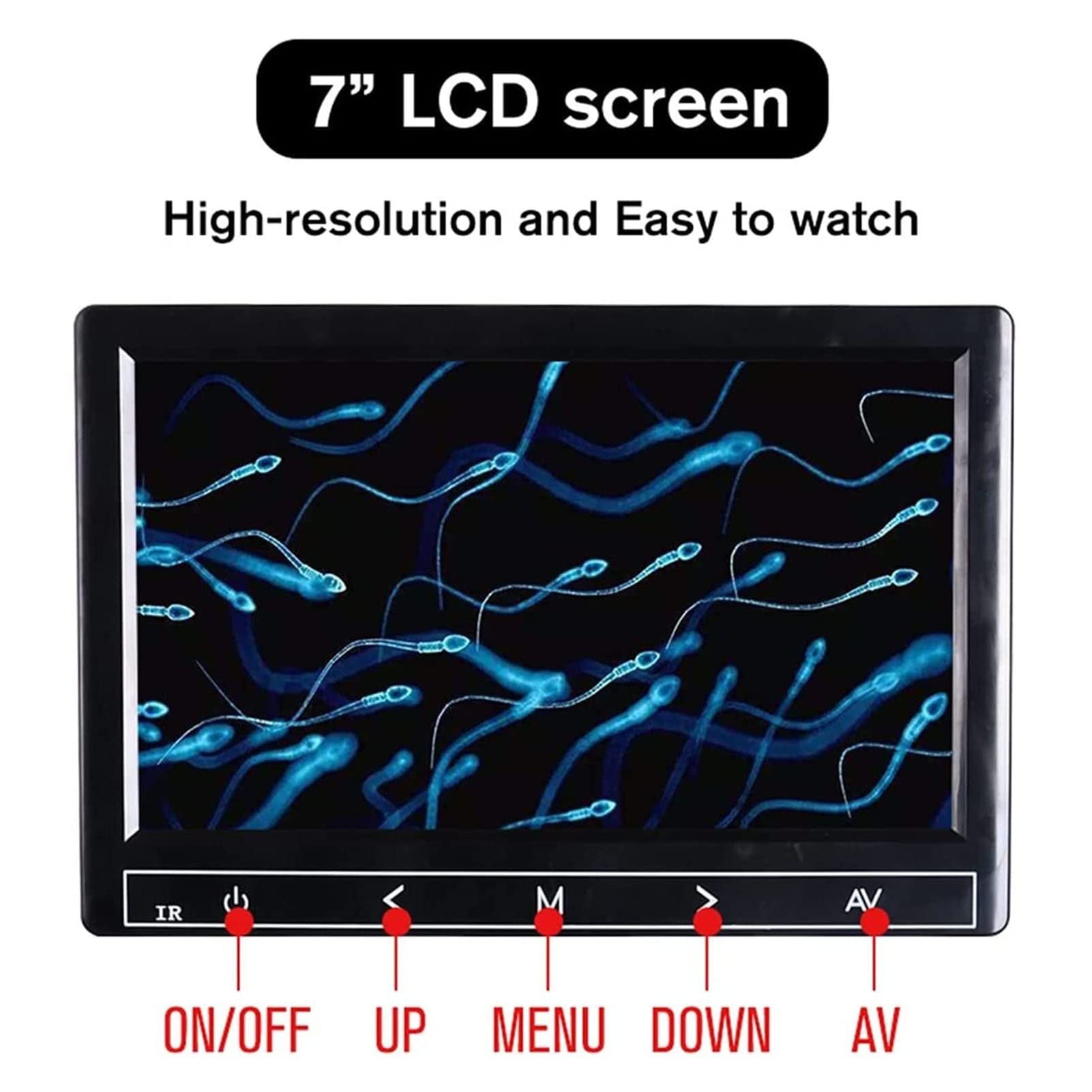 Microscopio Digitale LCD, 40x- 400x (aggiornabile a 2000x), microscopio binoculare HD Biologico Professionale da Laboratorio, microscopio con Zoom TV, Microscopio Digitale