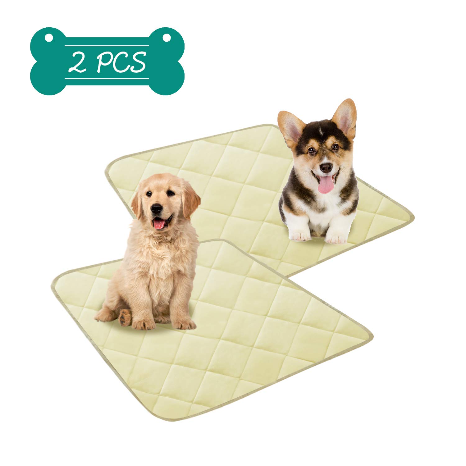 How Do You Protect Furniture From Dog Urine