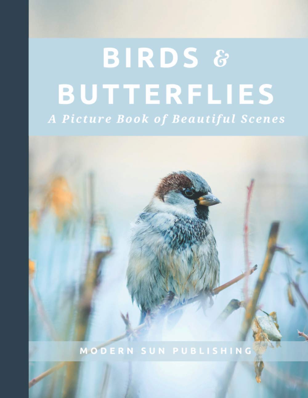 Birds & Butterflies: A Picture Book of Beautiful Scenes: A Picture Book for People Experiencing Dementia or Memory Loss