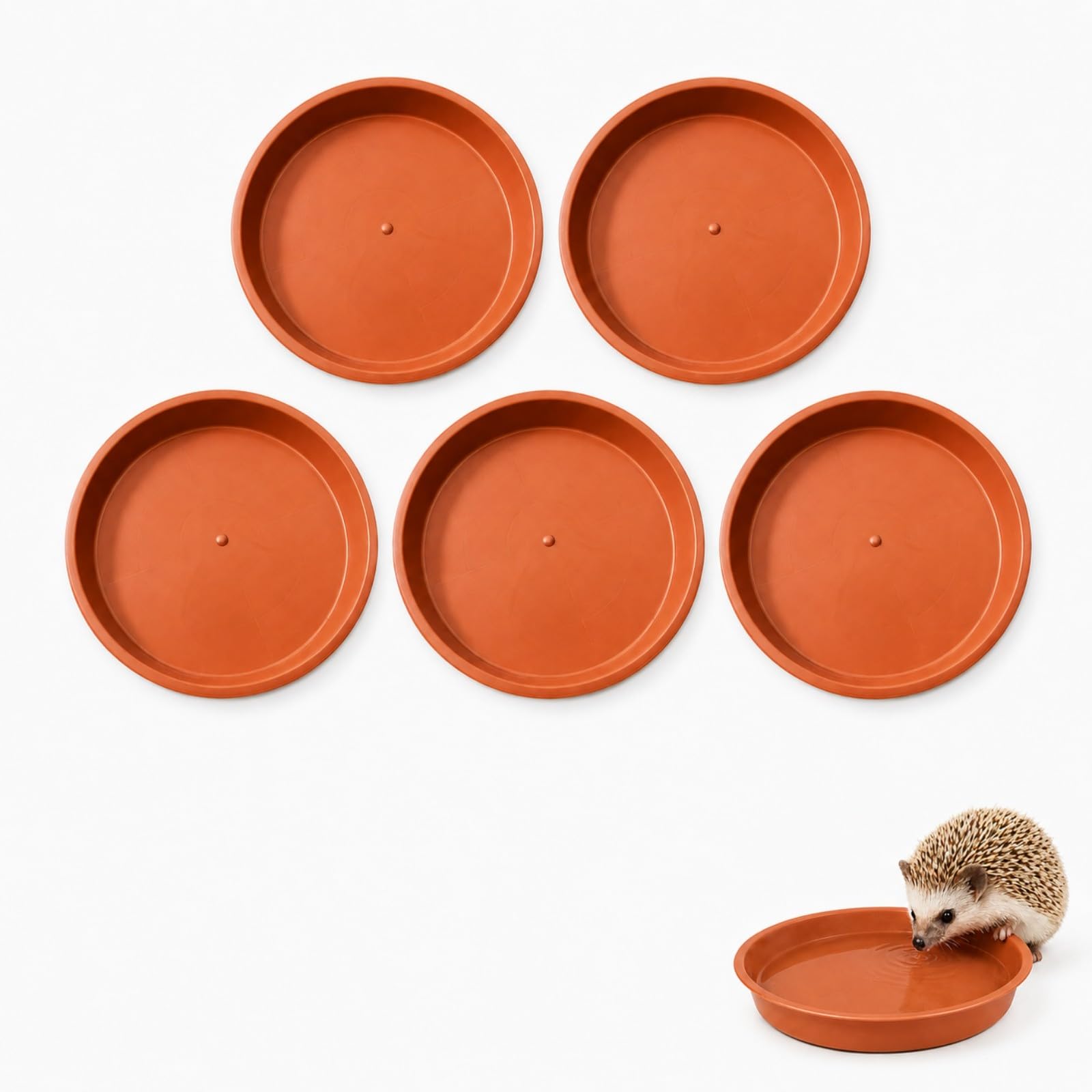 VBK Igel-Set