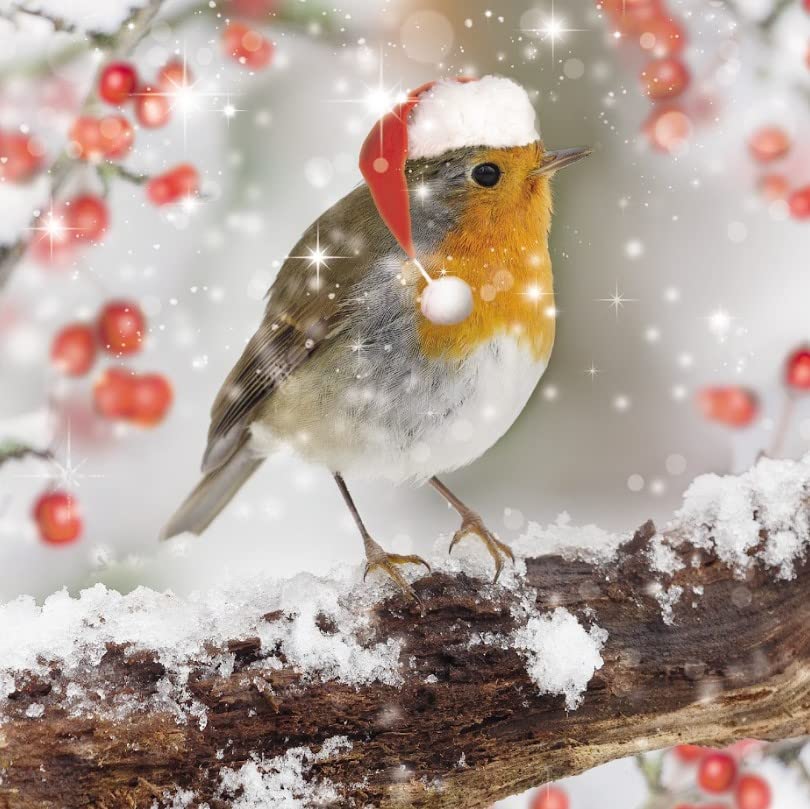 Charity Christmas Cards Pack Of 10 - Premium Greeti - UK