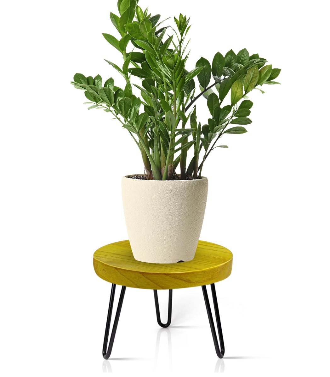 Plant Stand Indoor Outdoor Wood Mid Century Plant Stand for Indoor Plants, Modern Plant Table Round Plant Stool, Boho Rustic Wooden Stool for Plant