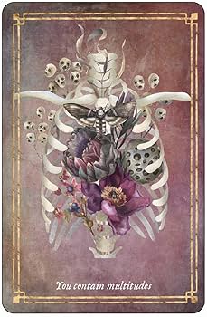 Amazon.com: Memento Mori: 36 Cards to Embrace Life