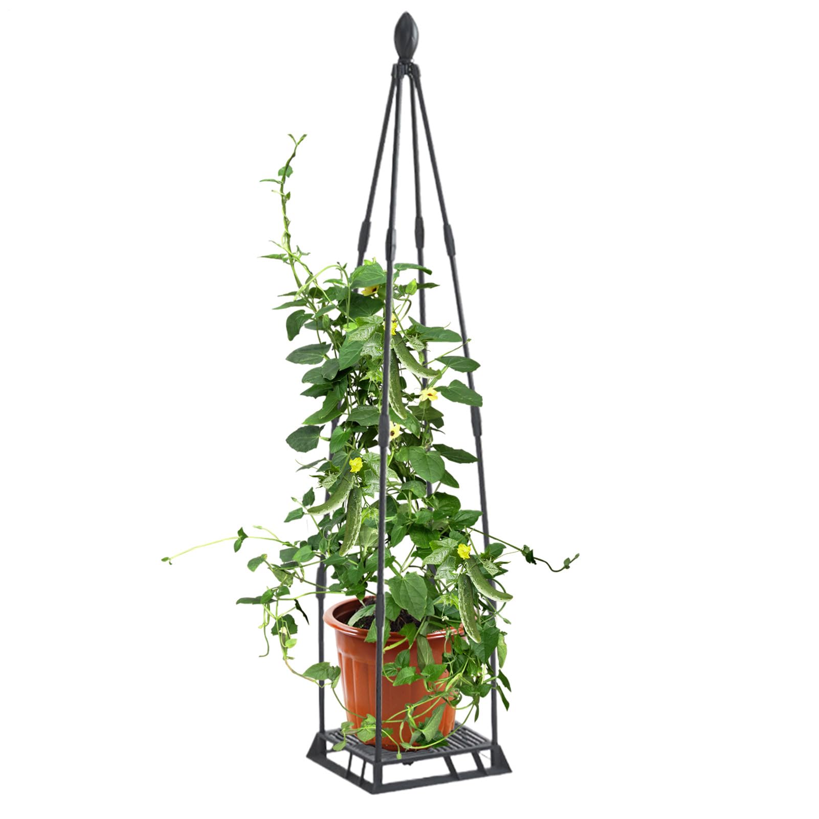 Treillis pour grimpantes extérieur en métal noir pour pot de jardin et serre