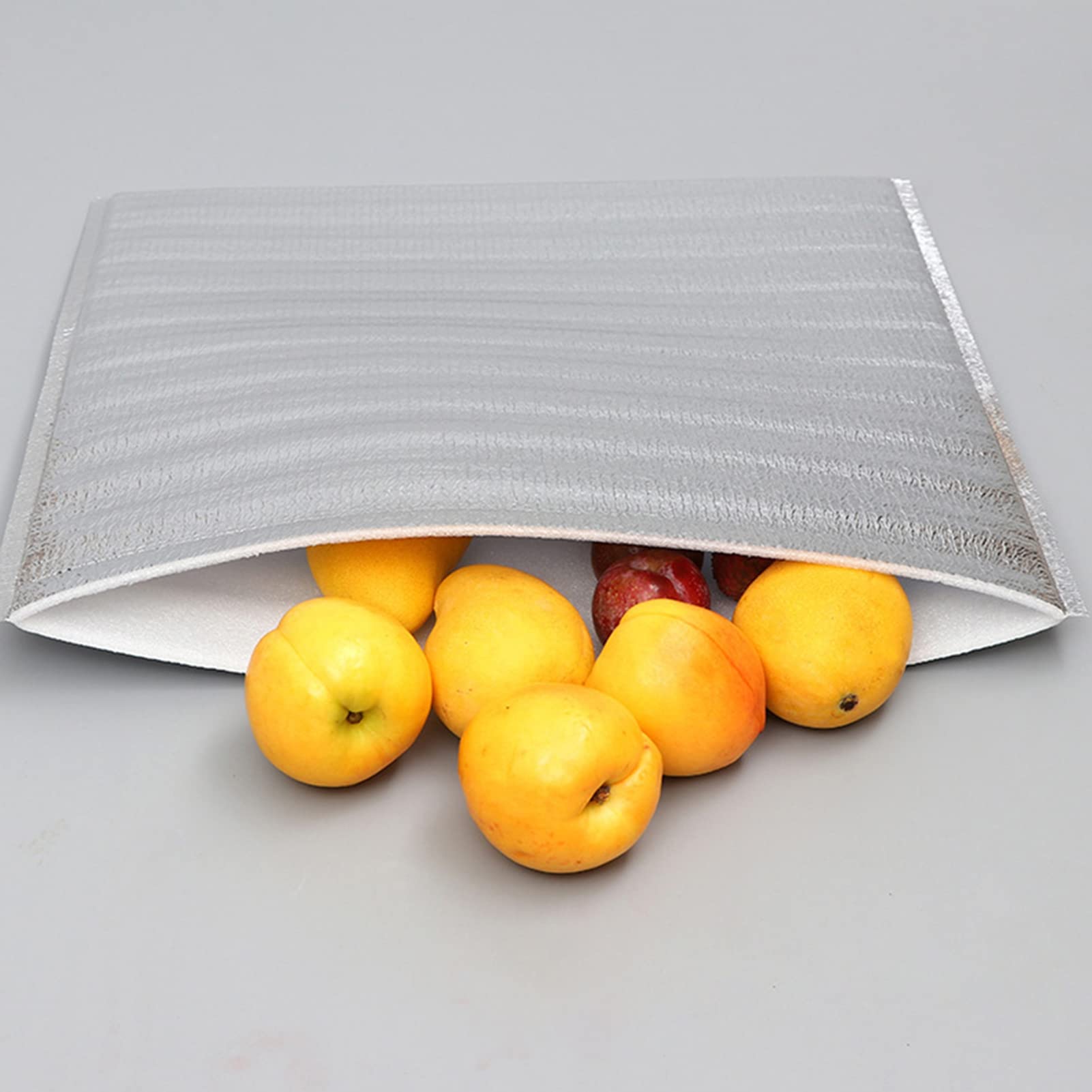 Lot De 5 Sacs Isothermes DEWIN - 25x30cm En Aluminium - Pour Pique-nique, Camping Et Voyage