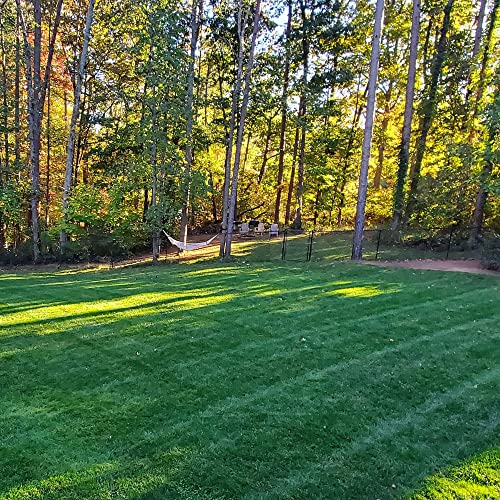 Outsidepride Midnight Kentucky Bluegrass Cool Season Fine, Soft Textured Lawn, Turf Grass Seed Blend - 5 Lbs #TOP2