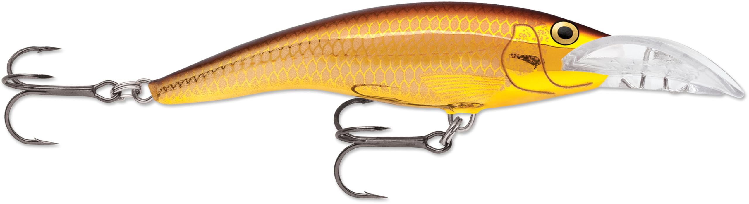 Scatter Rap Tail Dancer 09 Golden Alburnus