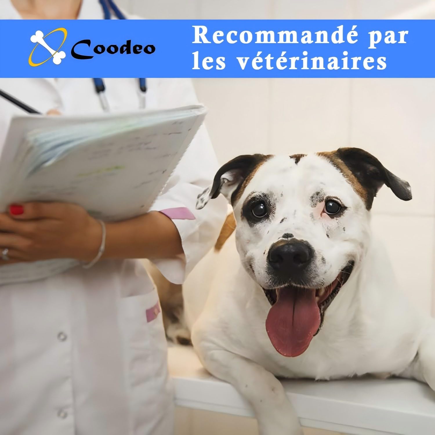 Harnais de Levage Coodeo pour Chien, élingue de rééducation avec Sangles Ajustables rembourrées Respirantes – Chiens âgés, handicapés, arthrite, blessures articulaires (Noir, XL)
