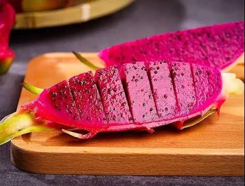 200 White Dragon Fruit Seeds For Planting #TOP3