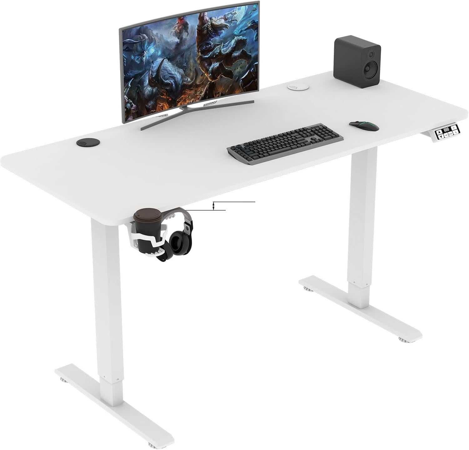 Amazon.com: Rtisgunpro 55x24inch Adjustable Desk Stand up Desk Electric ...
