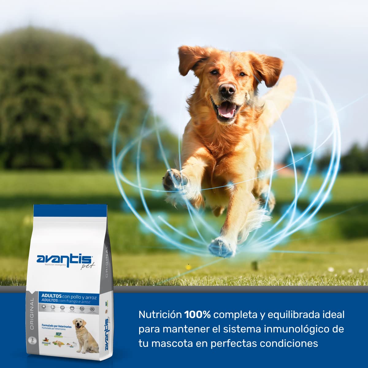 Avantis Pet Original - Cibo per cani adulti di razza media e grande - 3 kg - Cibo 100% completo ed equilibrato - Altamente nutrizionale con pollo e riso